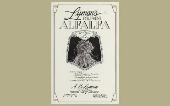 Lyman's Grimm Alfalfa brochure
