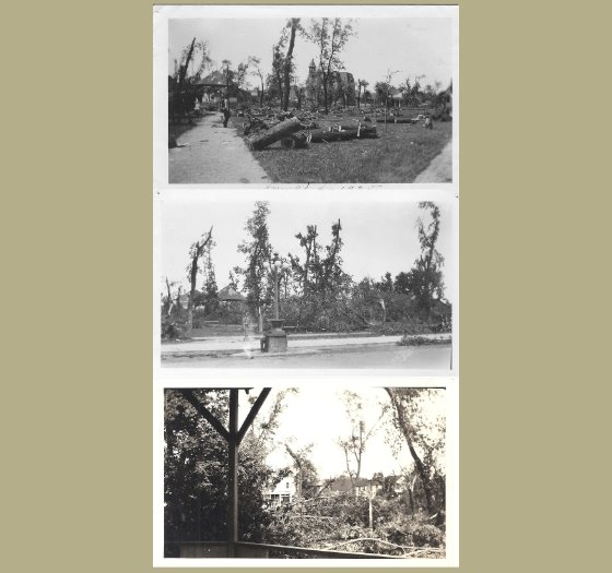 Cut tree trunks stacked in City Square, View from Highway 41 of damaged trees, view from the Gazebo of lots of trees down