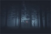 Spooky dark image in a forest with a single house