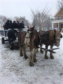 Horses pulling carriages through downtown while Chaska History Center Volunteers narrate. 